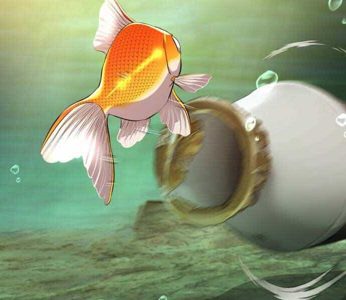 Hoá Thân Thành Cá - Chương 6 - ảnh 168