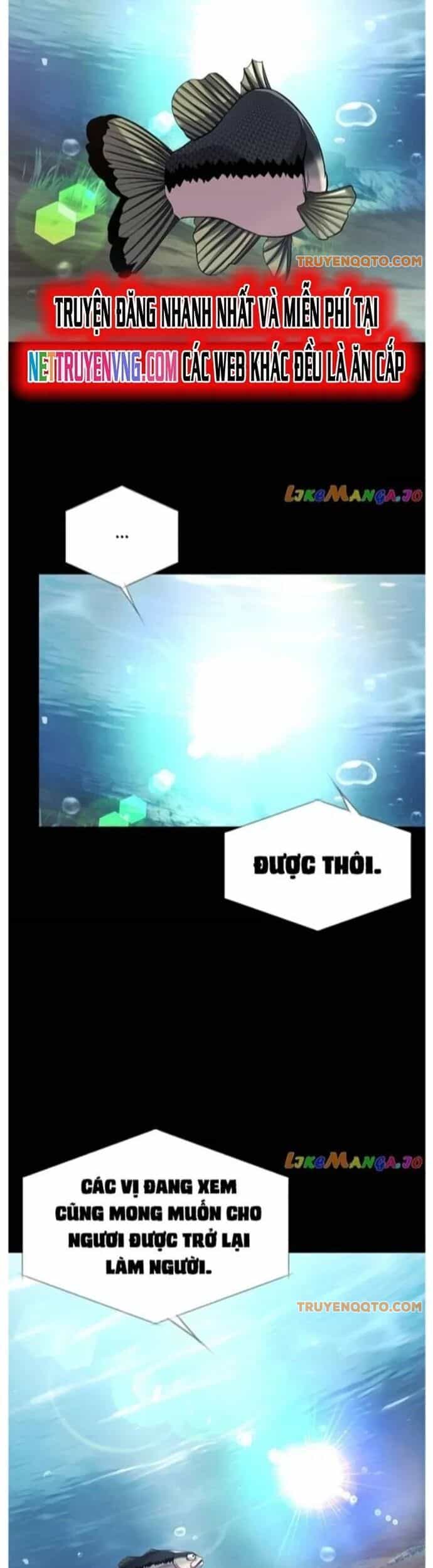 Hoá Thân Thành Cá - Chương 60 - ảnh 2