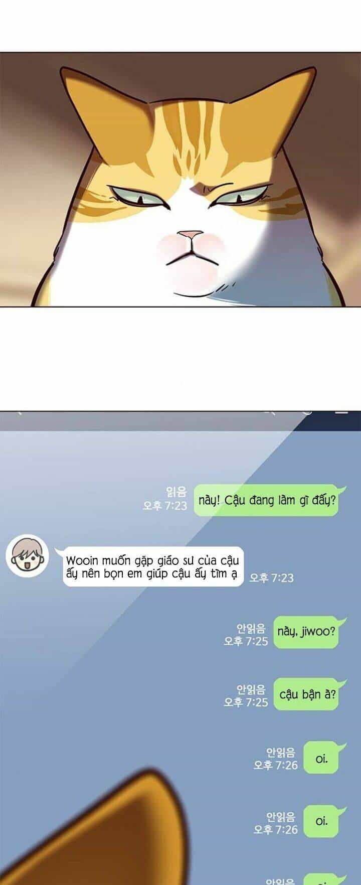 Hoá Thân Thành Mèo - Chương 106 - ảnh 57