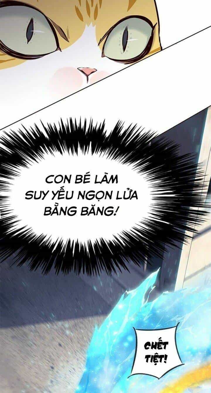 Hoá Thân Thành Mèo - Chương 110 - ảnh 58