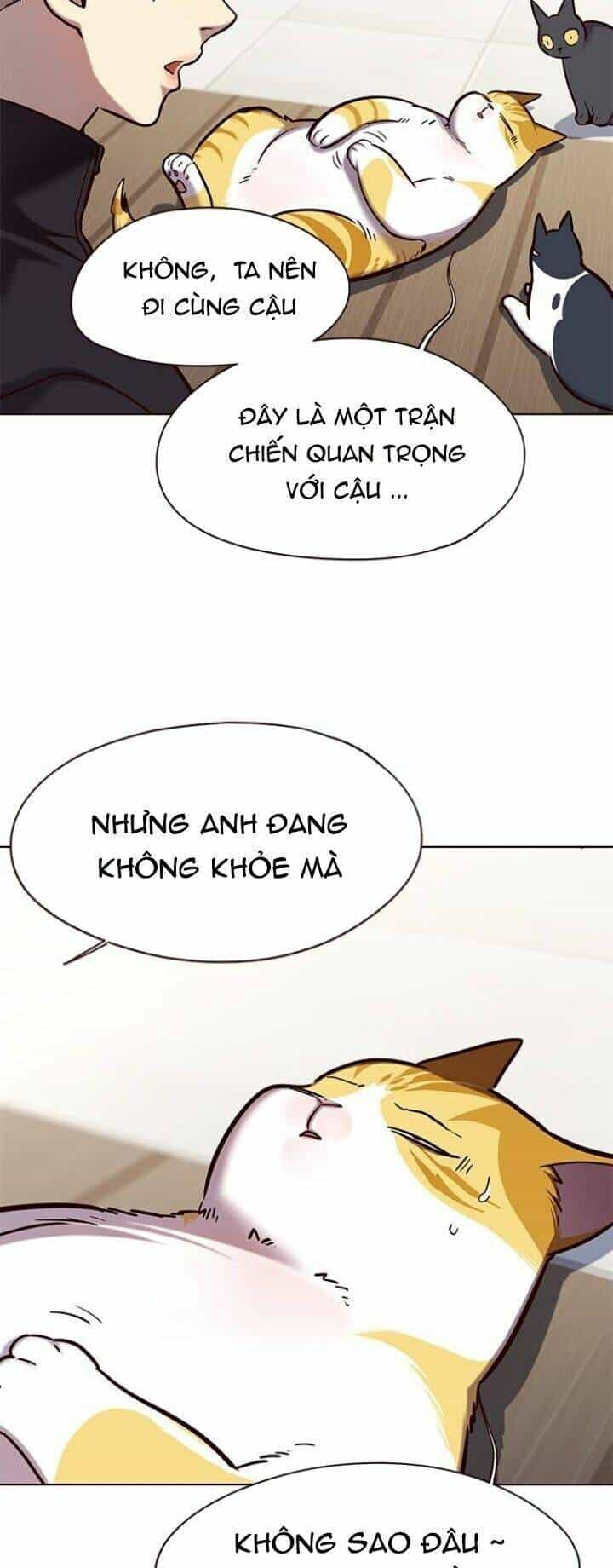 Hoá Thân Thành Mèo - Chương 119 - ảnh 7