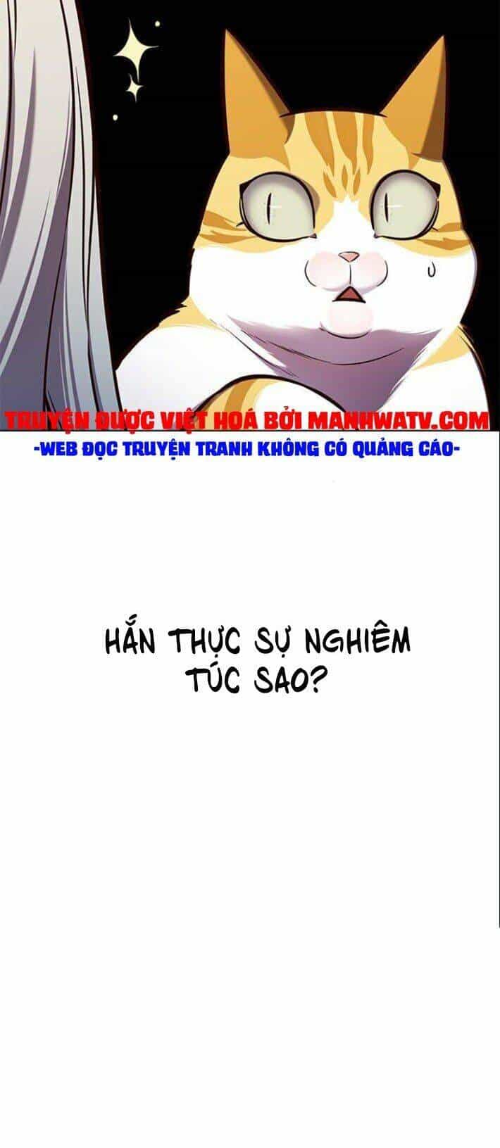 Hoá Thân Thành Mèo - Chương 139 - ảnh 48