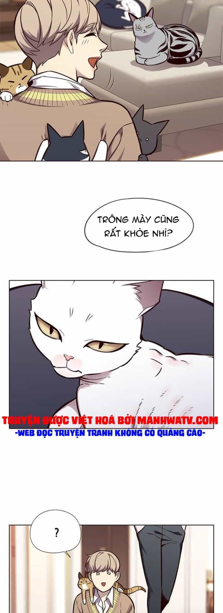 Hoá Thân Thành Mèo - Chương 143 - ảnh 15