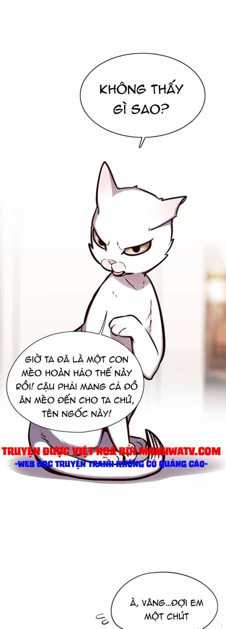 Hoá Thân Thành Mèo - Chương 143 - ảnh 28