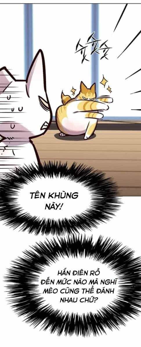 Hoá Thân Thành Mèo - Chương 144 - ảnh 19