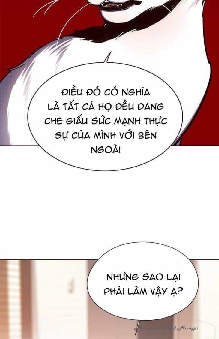 Hoá Thân Thành Mèo - Chương 146 - ảnh 43