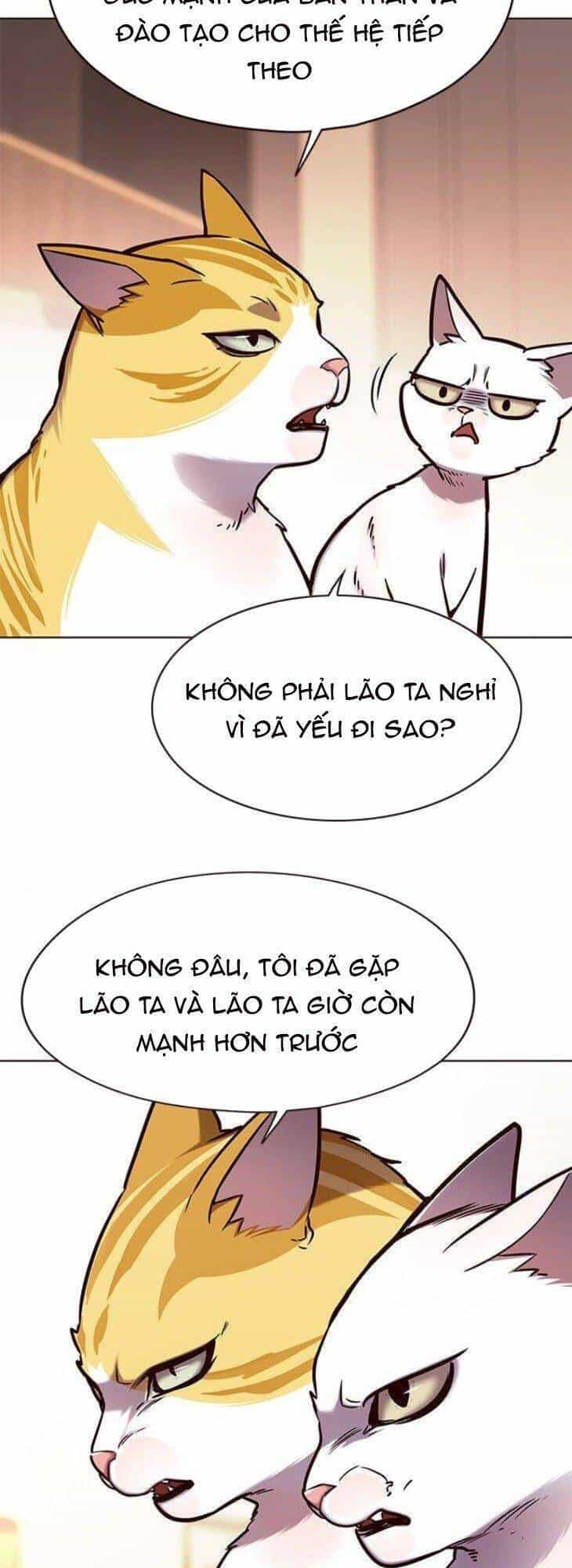 Hoá Thân Thành Mèo - Chương 146 - ảnh 48