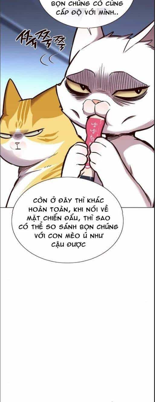 Hoá Thân Thành Mèo - Chương 159 - ảnh 14
