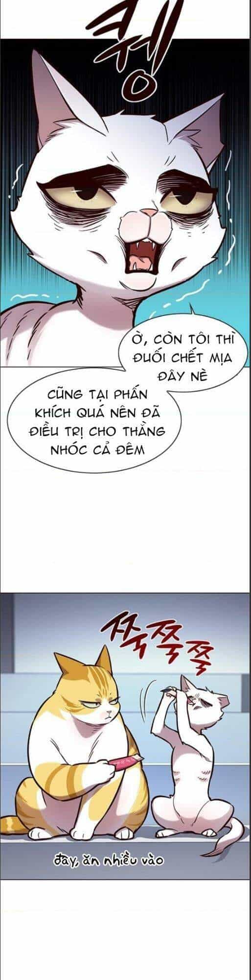Hoá Thân Thành Mèo - Chương 159 - ảnh 2