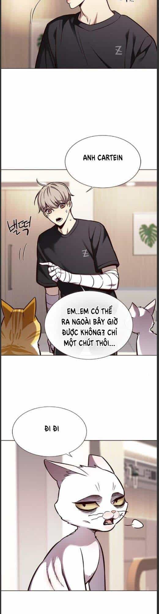 Hoá Thân Thành Mèo - Chương 160 - ảnh 23