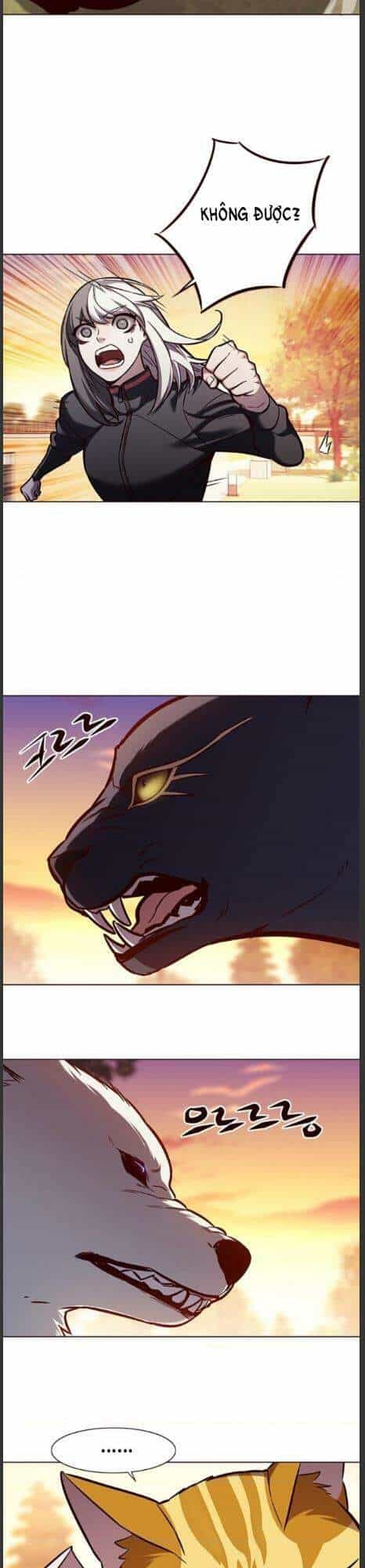 Hoá Thân Thành Mèo - Chương 161 - ảnh 23