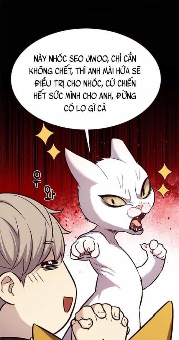 Hoá Thân Thành Mèo - Chương 176 - ảnh 50