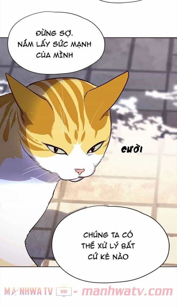 Hoá Thân Thành Mèo - Chương 18 - ảnh 63
