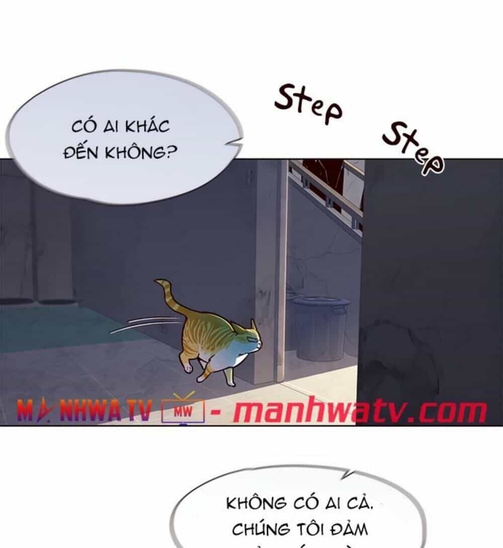 Hoá Thân Thành Mèo - Chương 19 - ảnh 85