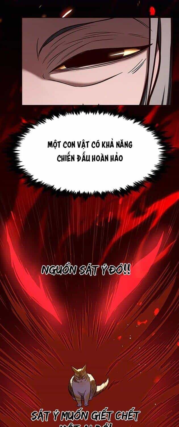 Hoá Thân Thành Mèo - Chương 196 - ảnh 41
