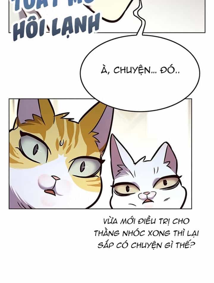 Hoá Thân Thành Mèo - Chương 200 - ảnh 62