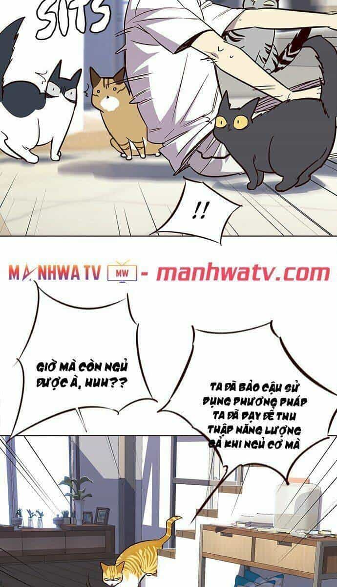Hoá Thân Thành Mèo - Chương 21 - ảnh 68