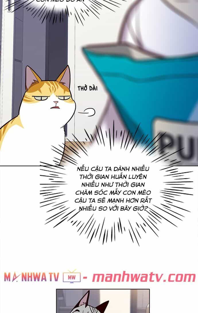Hoá Thân Thành Mèo - Chương 22 - ảnh 27