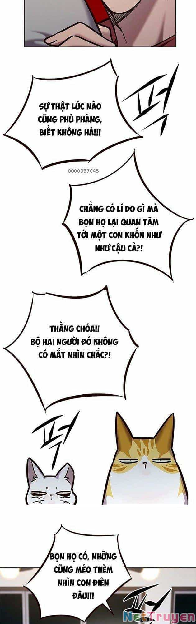 Hoá Thân Thành Mèo - Chương 223 - ảnh 31