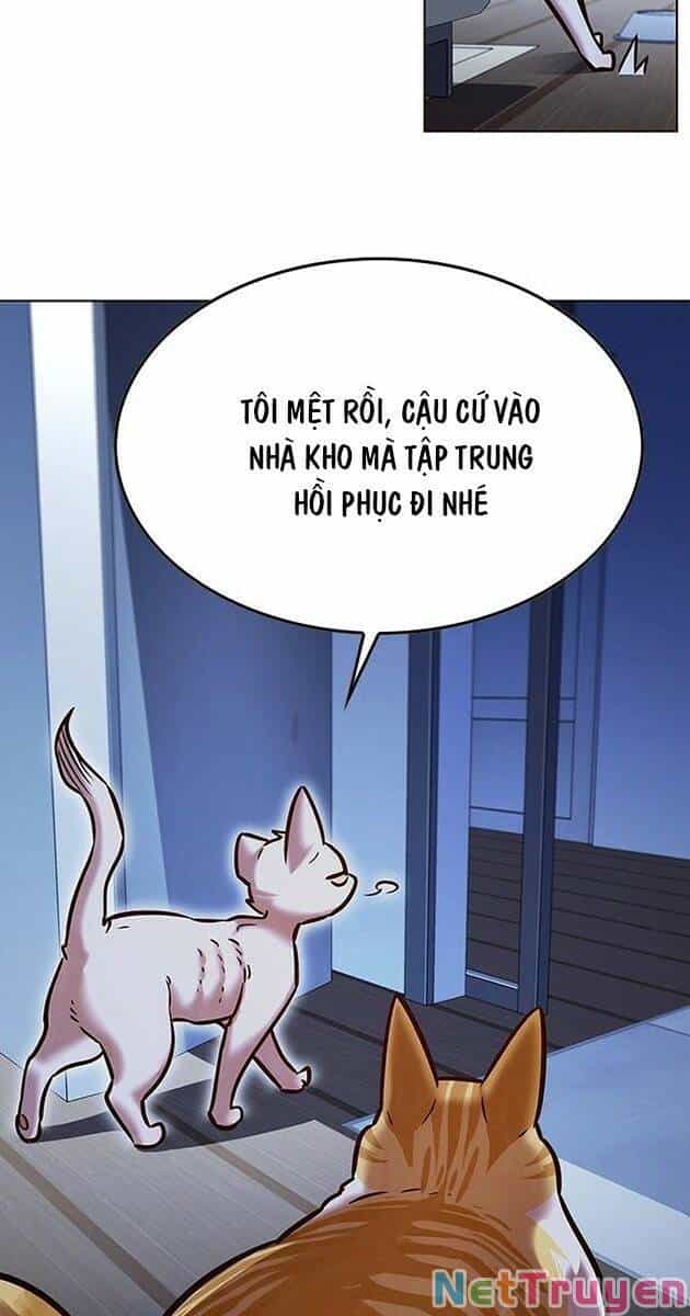 Hoá Thân Thành Mèo - Chương 229 - ảnh 48