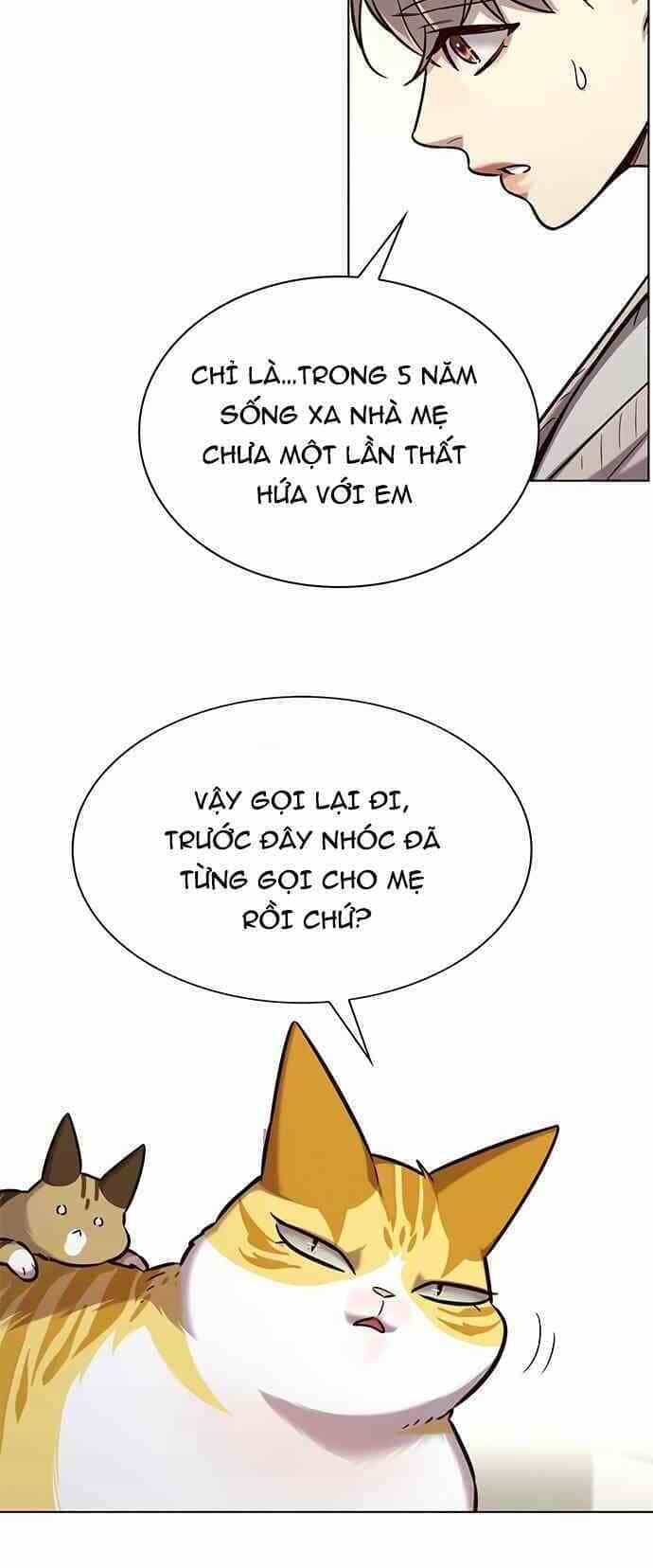 Hoá Thân Thành Mèo - Chương 231 - ảnh 6