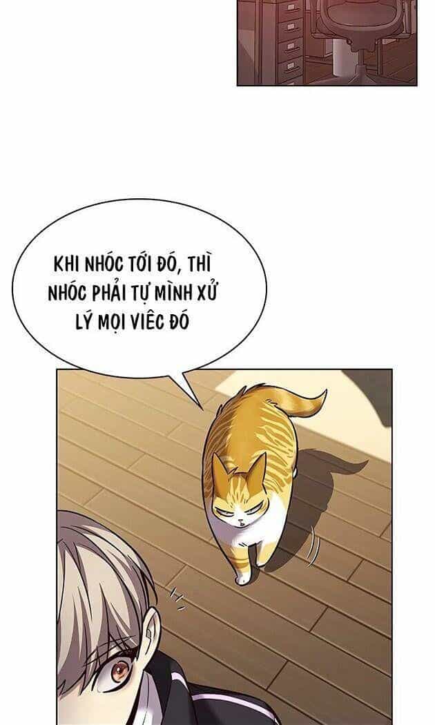 Hoá Thân Thành Mèo - Chương 242 - ảnh 33