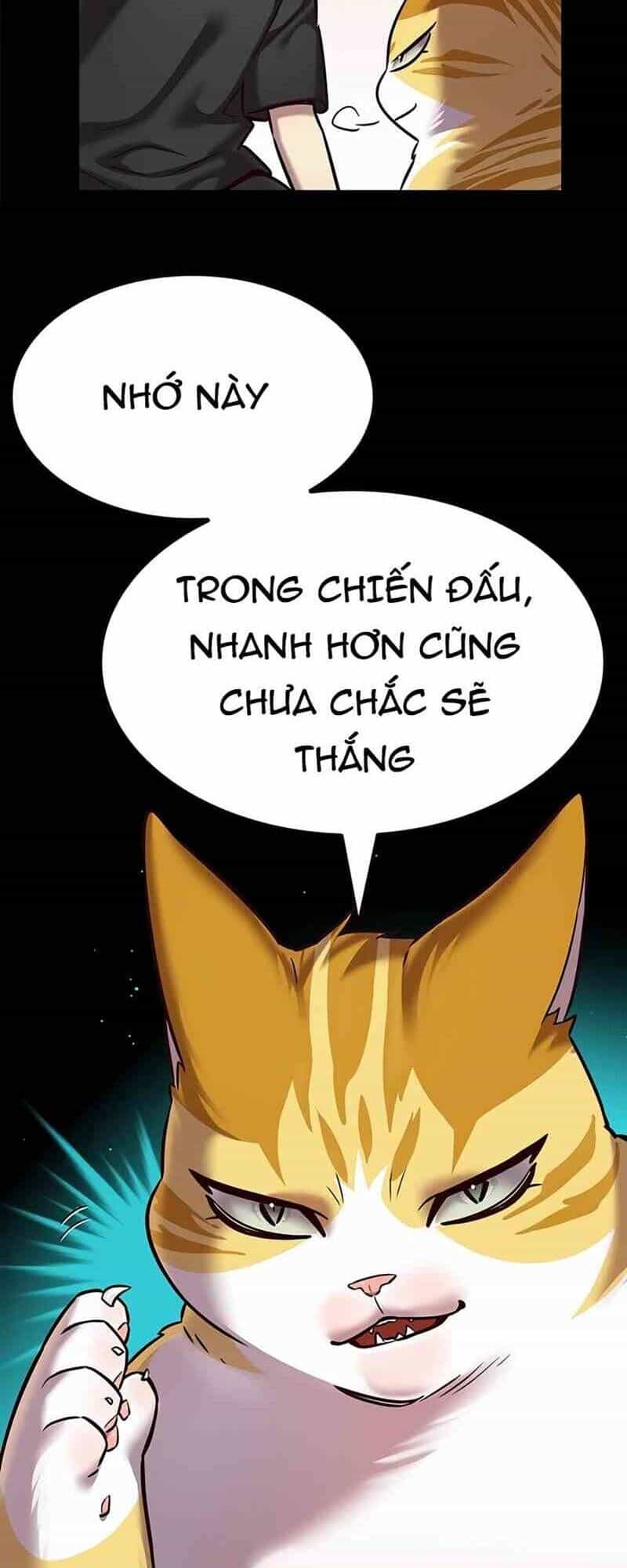 Hoá Thân Thành Mèo - Chương 244 - ảnh 19