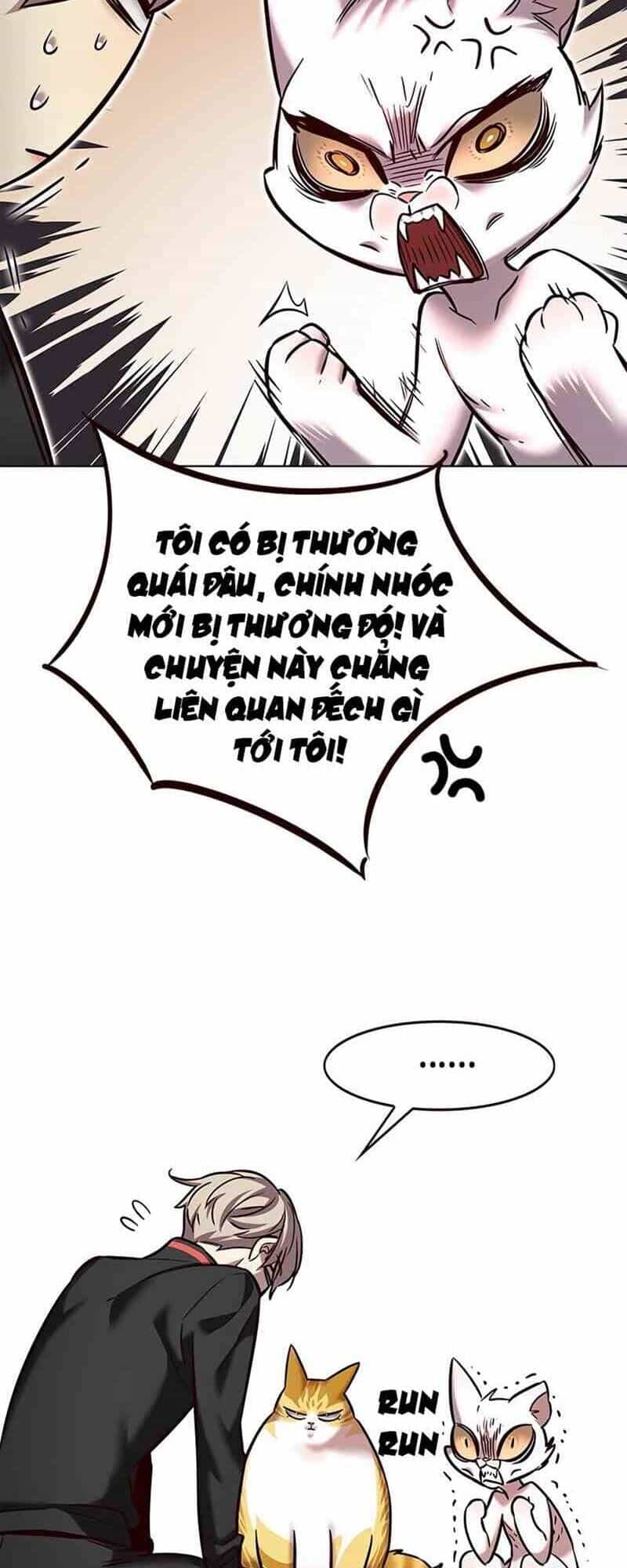 Hoá Thân Thành Mèo - Chương 249 - ảnh 64