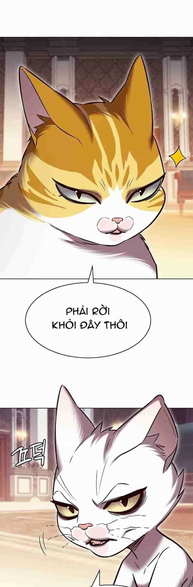 Hoá Thân Thành Mèo - Chương 256 - ảnh 2