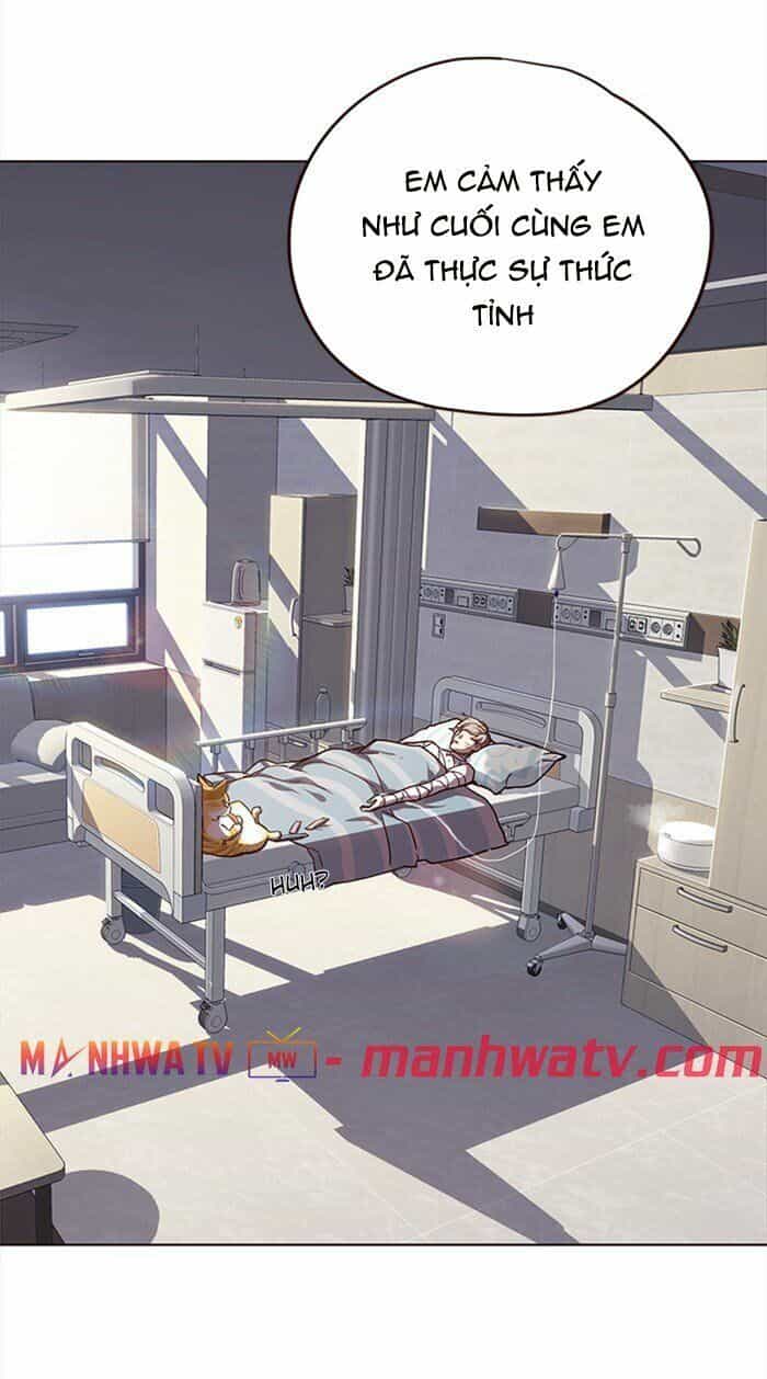Hoá Thân Thành Mèo - Chương 28 - ảnh 17