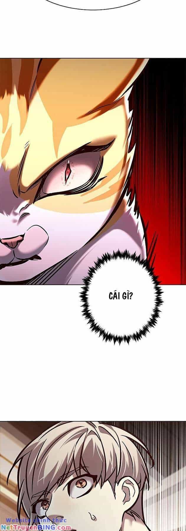 Hoá Thân Thành Mèo - Chương 278 - ảnh 23