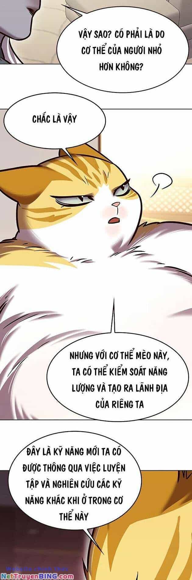 Hoá Thân Thành Mèo - Chương 278 - ảnh 58