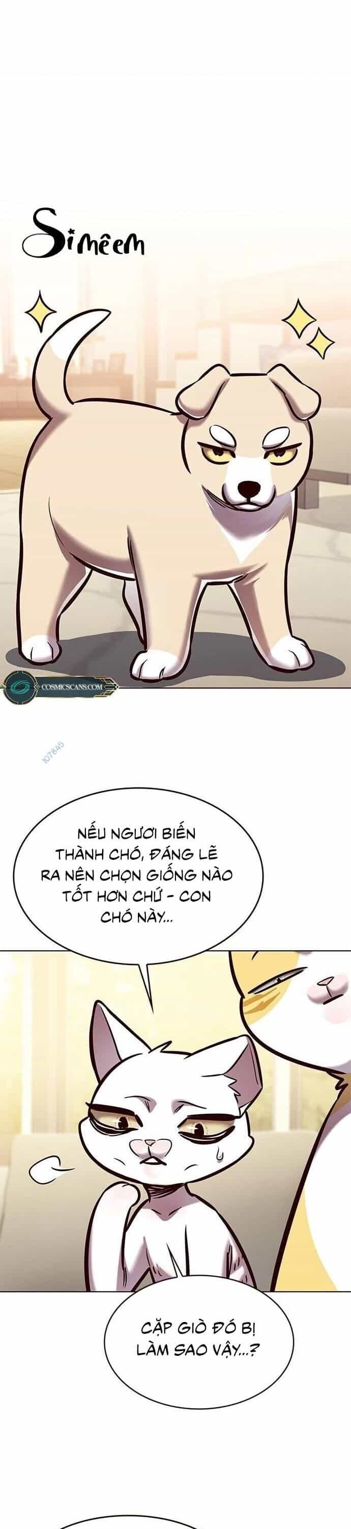 Hoá Thân Thành Mèo - Chương 279 - ảnh 46