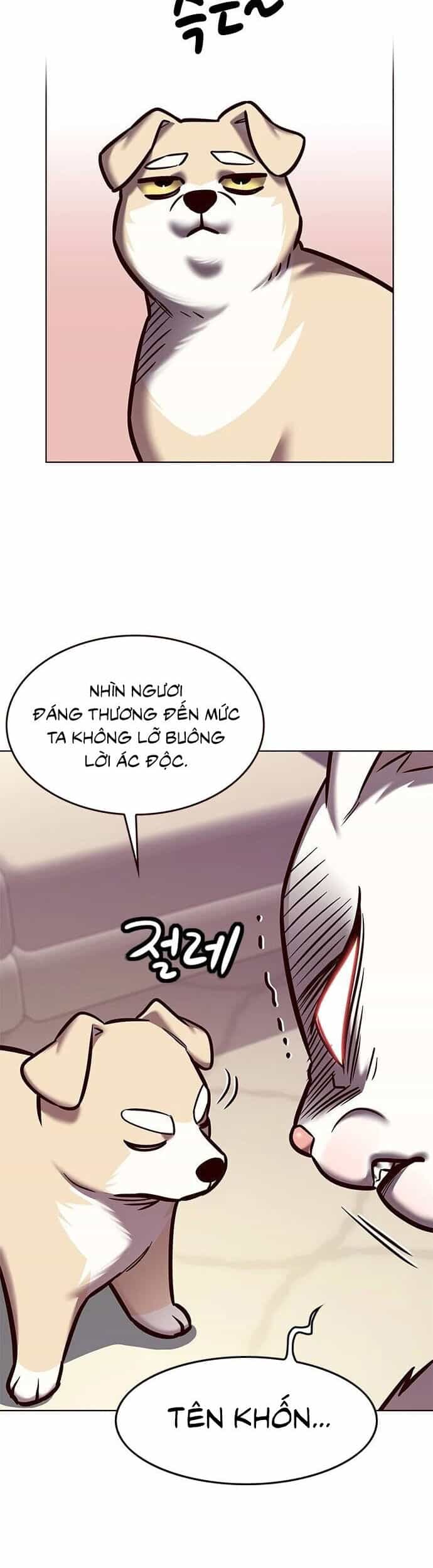 Hoá Thân Thành Mèo - Chương 279 - ảnh 51