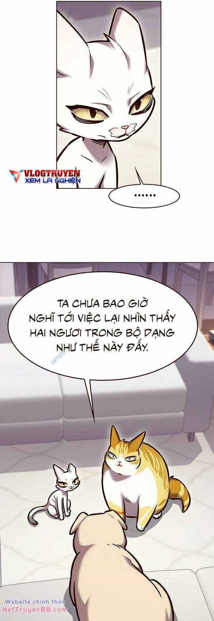 Hoá Thân Thành Mèo - Chương 285 - ảnh 22