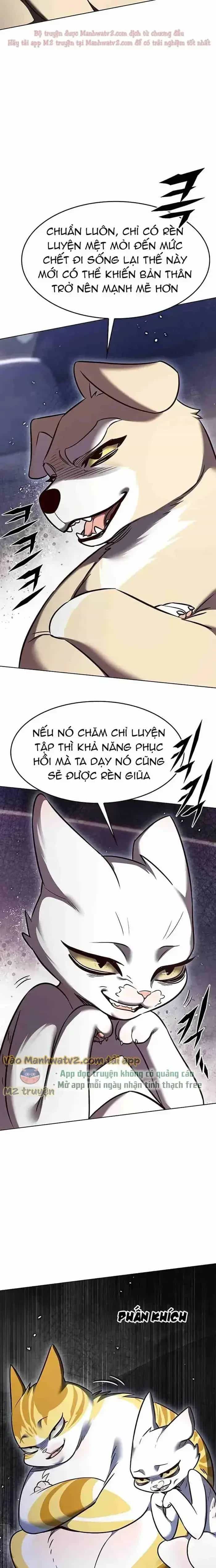 Hoá Thân Thành Mèo - Chương 305 - ảnh 7
