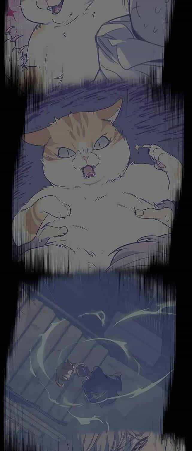 Hoá Thân Thành Mèo - Chương 309 - ảnh 69