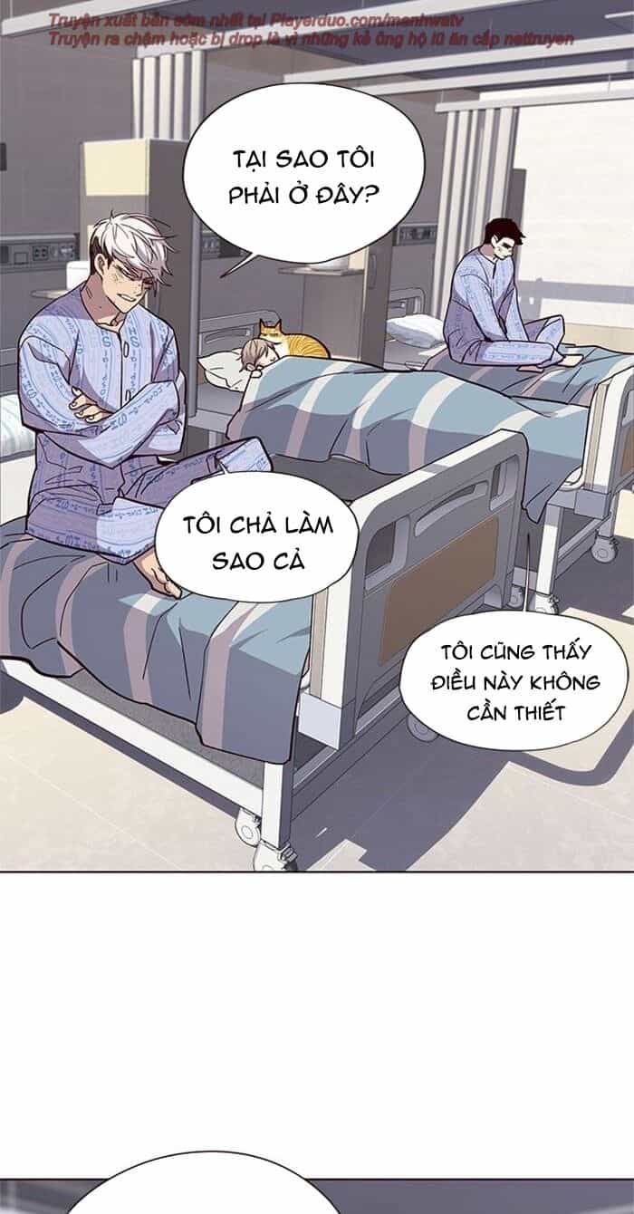 Hoá Thân Thành Mèo - Chương 33 - ảnh 65
