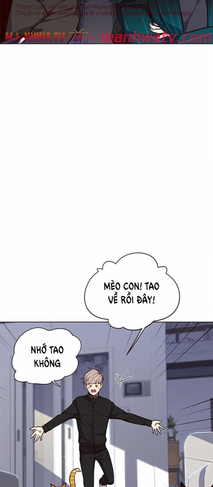 Hoá Thân Thành Mèo - Chương 34 - ảnh 84