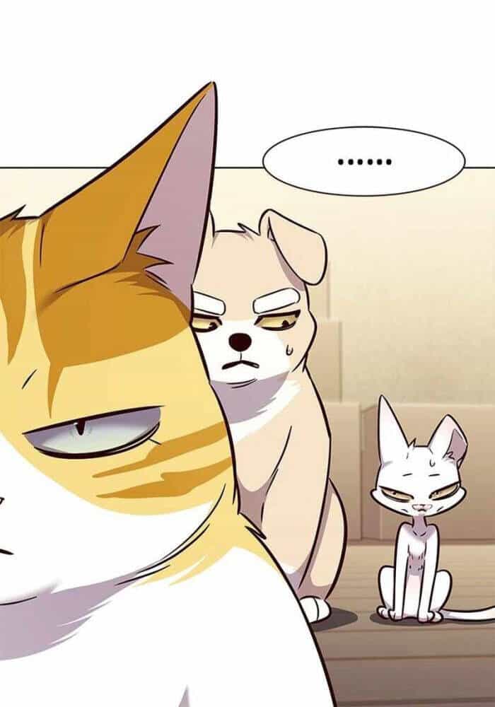 Hoá Thân Thành Mèo - Chương 330 - ảnh 63