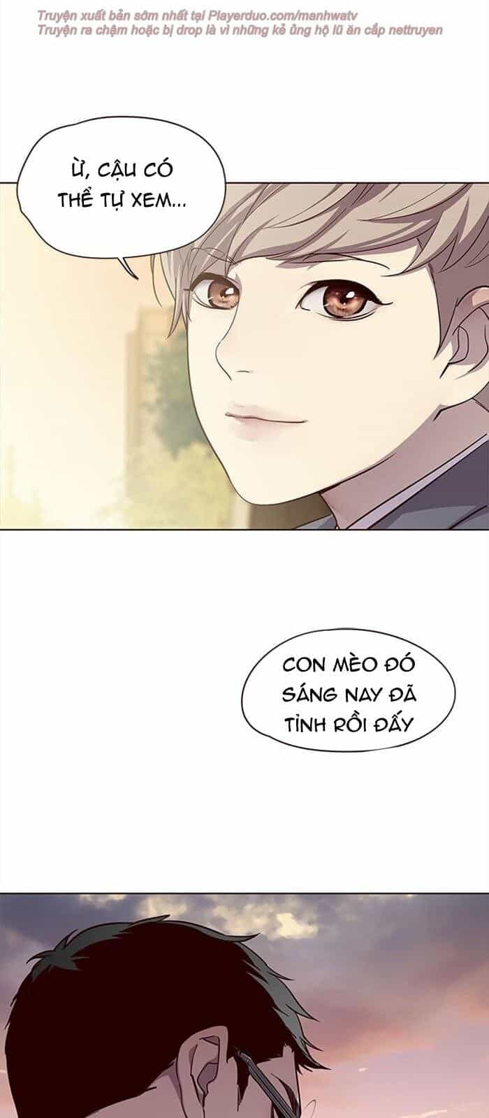 Hoá Thân Thành Mèo - Chương 38 - ảnh 16