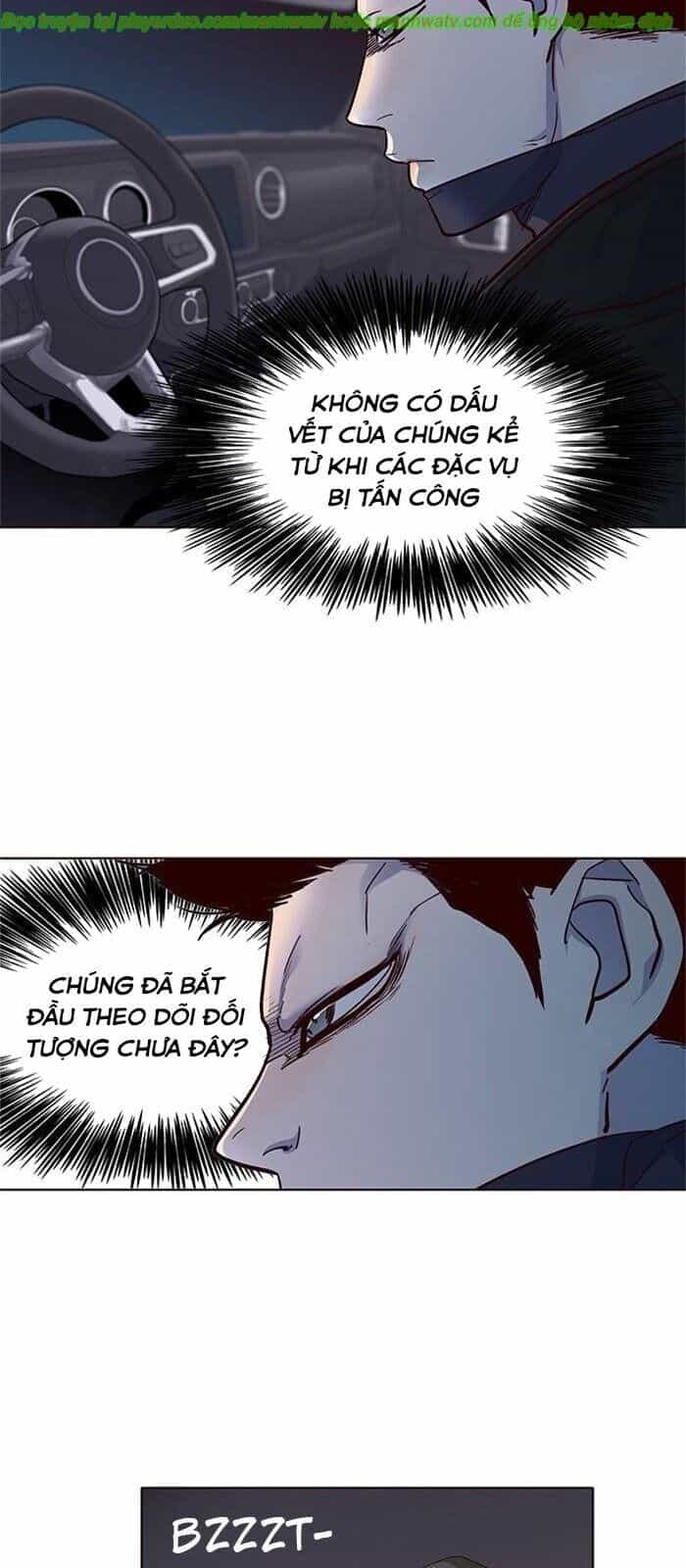 Hoá Thân Thành Mèo - Chương 40 - ảnh 74