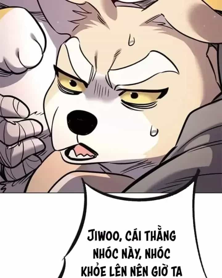 Hoá Thân Thành Mèo - Chương 406 - ảnh 118