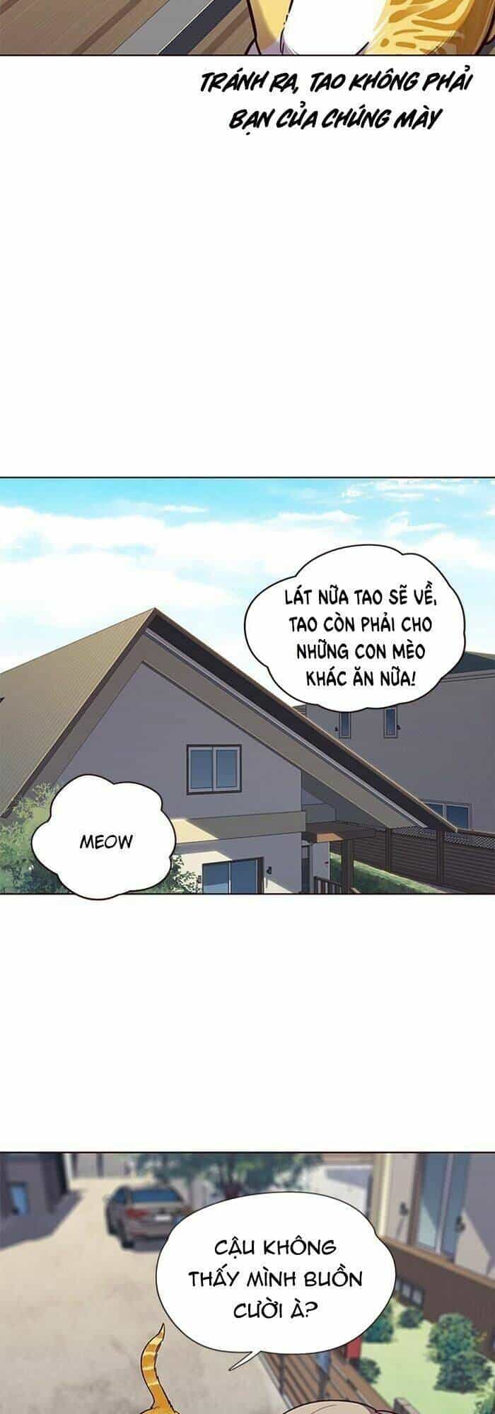 Hoá Thân Thành Mèo - Chương 55 - ảnh 15