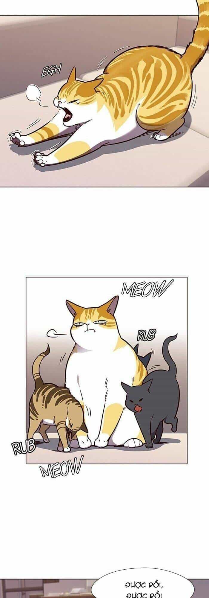 Hoá Thân Thành Mèo - Chương 56 - ảnh 36