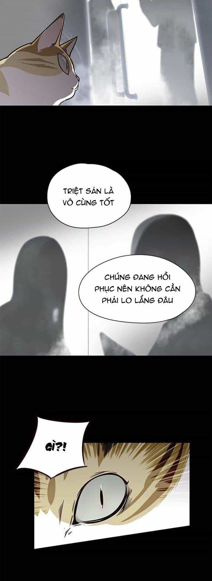 Hoá Thân Thành Mèo - Chương 56 - ảnh 7