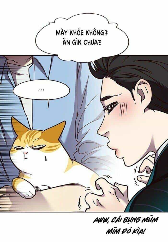 Hoá Thân Thành Mèo - Chương 62 - ảnh 41