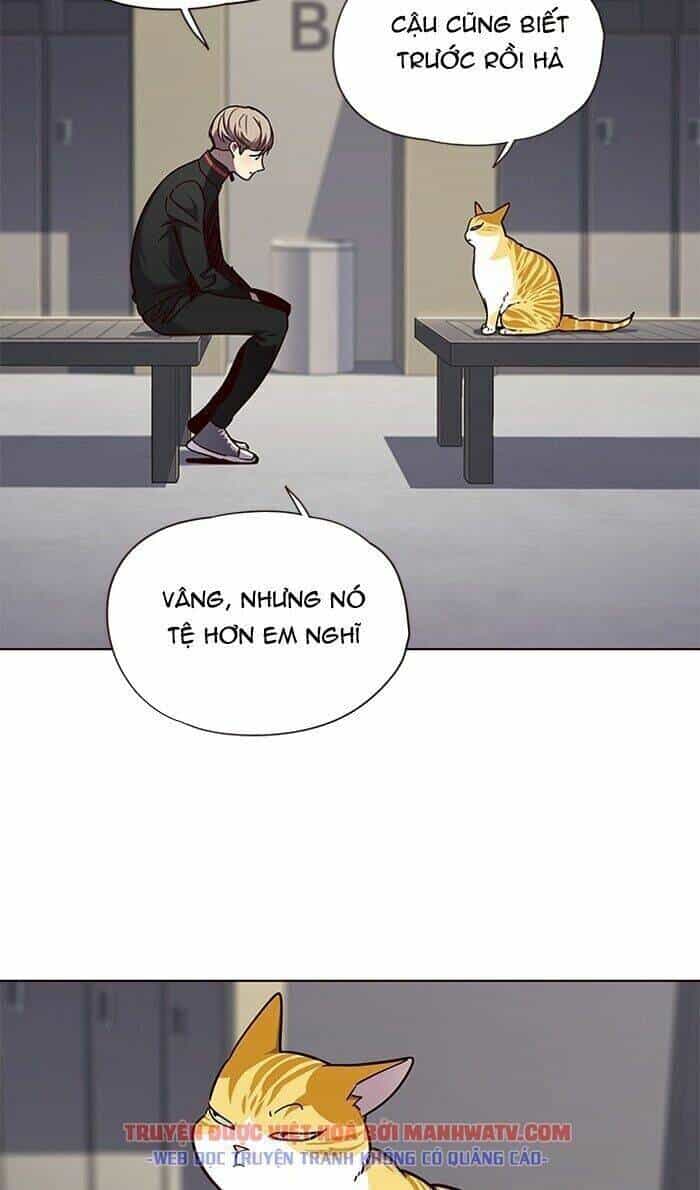 Hoá Thân Thành Mèo - Chương 63 - ảnh 40
