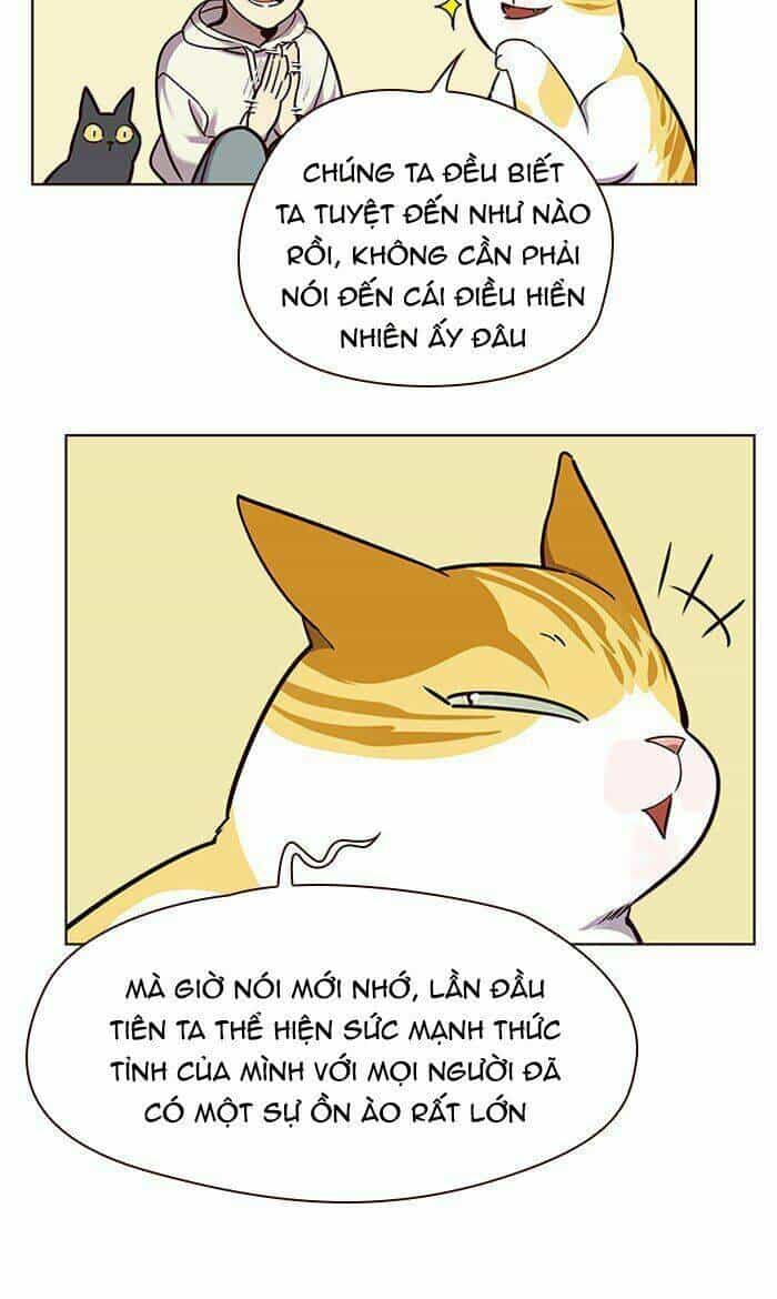 Hoá Thân Thành Mèo - Chương 64 - ảnh 64