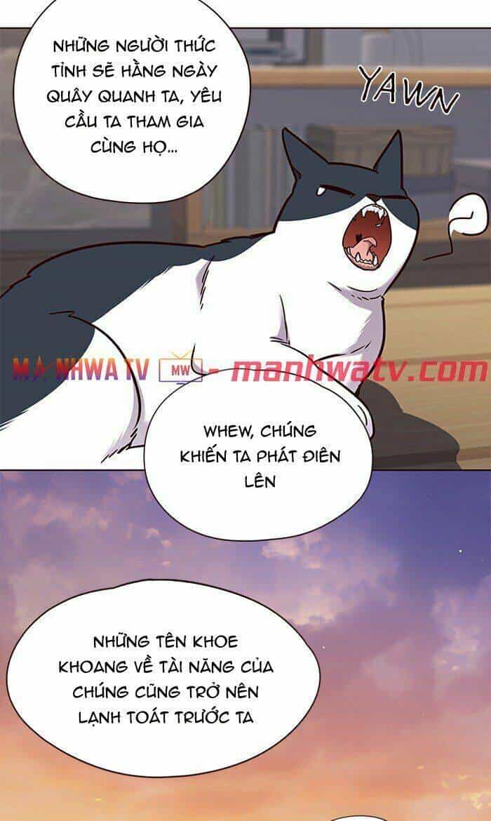 Hoá Thân Thành Mèo - Chương 64 - ảnh 66